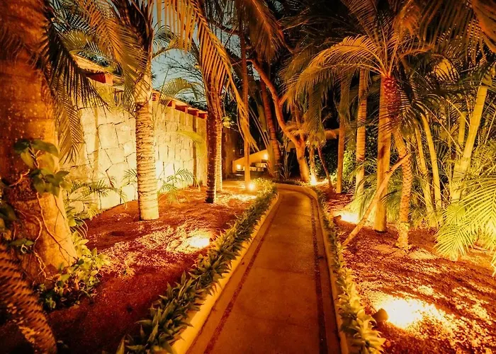 Dream With Private And Catering *